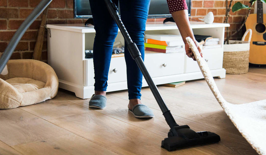 Tem cachorro em casa? Aprenda a tirar o cheiro de cachorro dos ambientes!