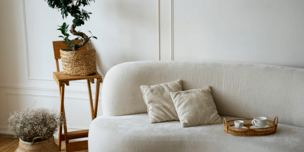 Cor do Ano Pantone: Como Aplicar a Tendência de 2026 na sua Casa